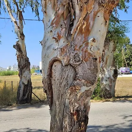 Appartement Luxe Benedenwoning Nula *