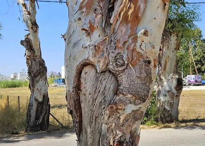 Appartement Luxe Benedenwoning Nula *